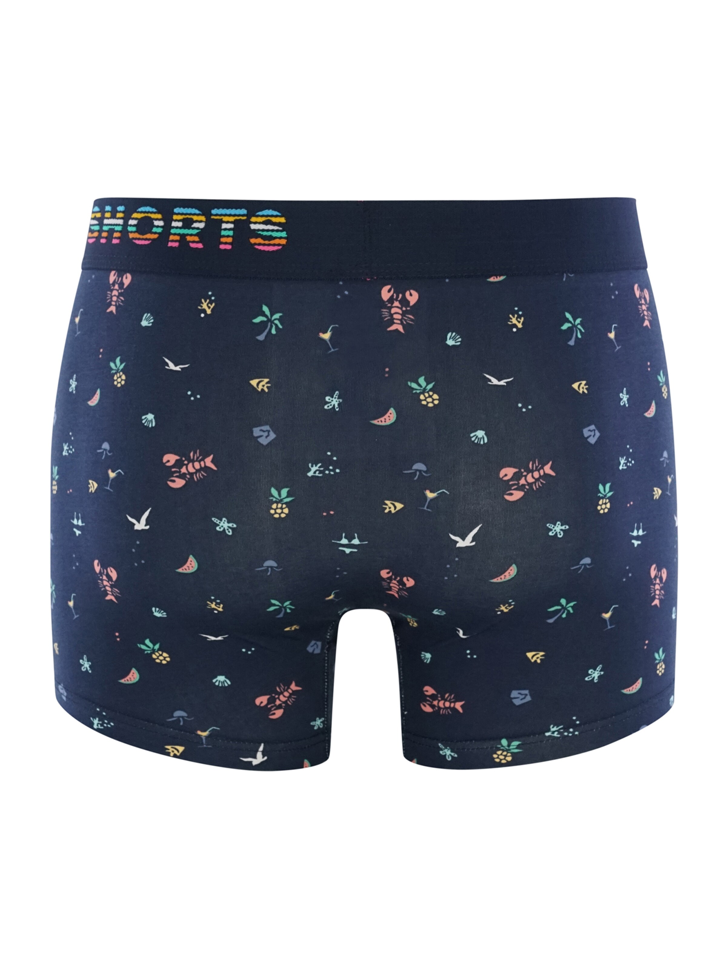 Phil & Co. Berlin Boxer shorts ' All Styles ' in Mixed colors