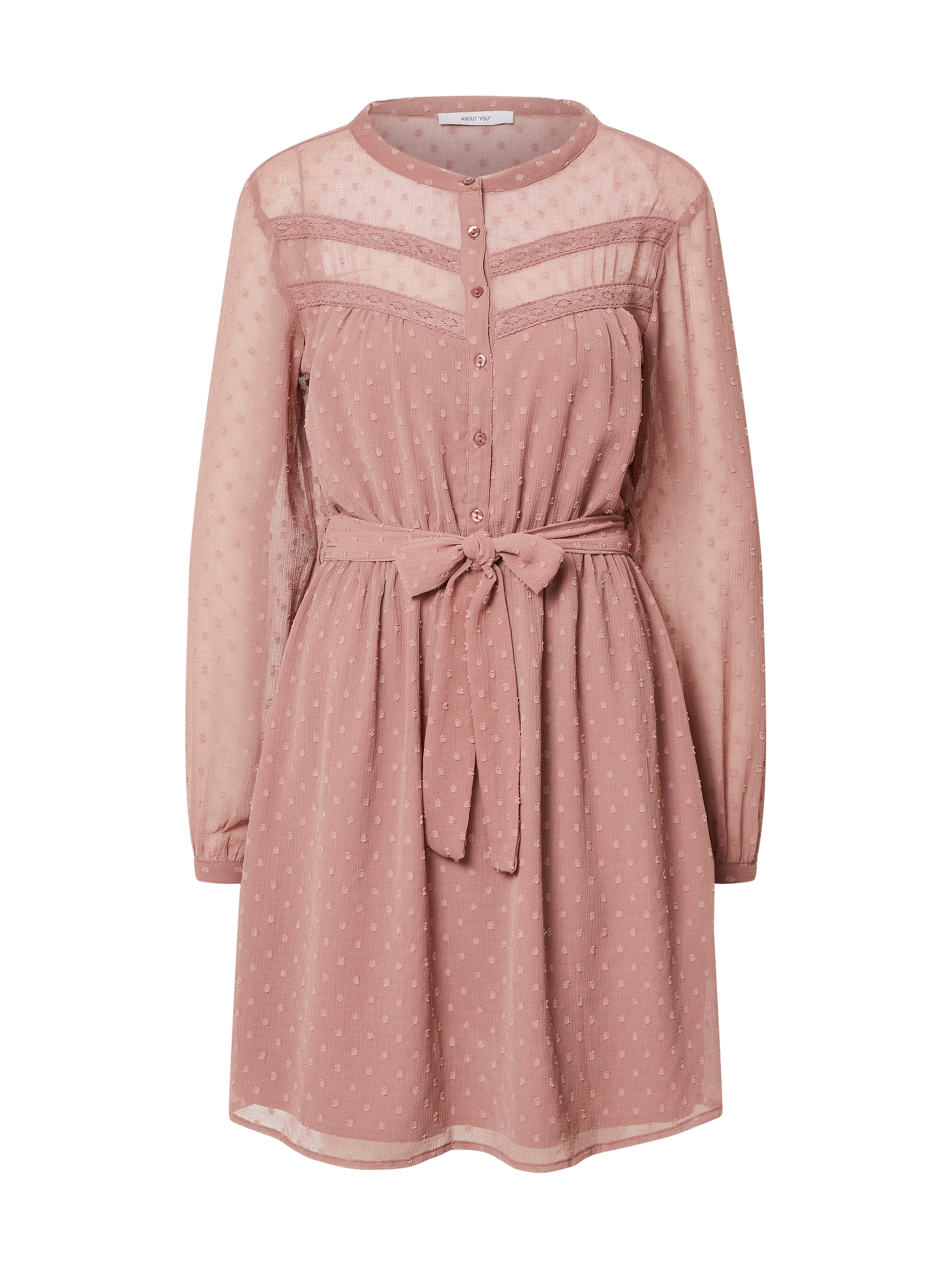 ABOUT YOU Shirt Dress 'Rosa' in Pink: front