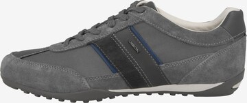 Sneaker bassa 'Wells' di GEOX in grigio