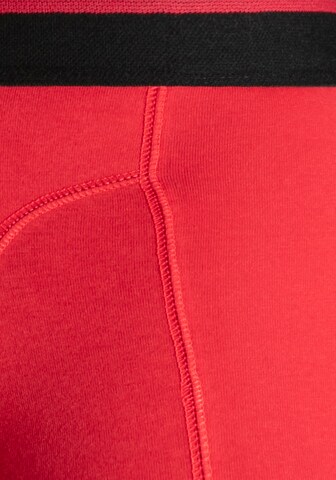 Authentic Le Jogger Boxershorts in Blau