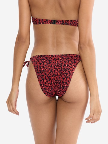 Bas de bikini ' Red Label Midnight Swim ' TRIUMPH en marron