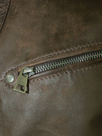 MADDOX Between-Season Jacket 'Franklin' in Brown