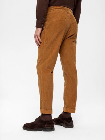 Antioch Slim fit Pleat-front trousers in Brown