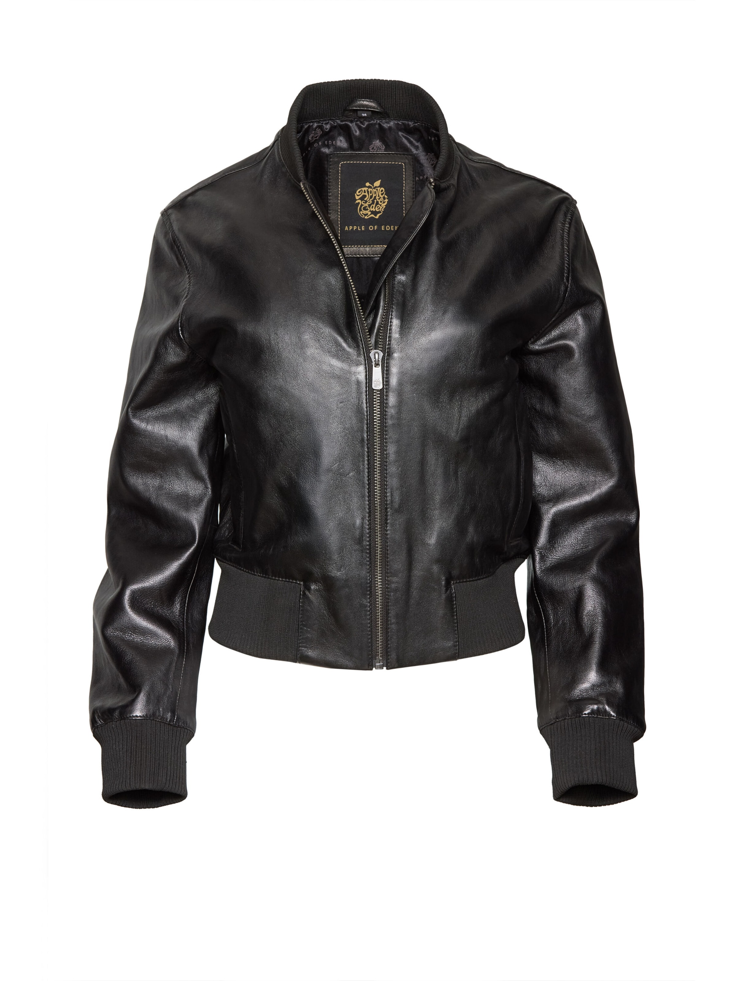 Apple of Eden Between-Season Jacket in Black: front