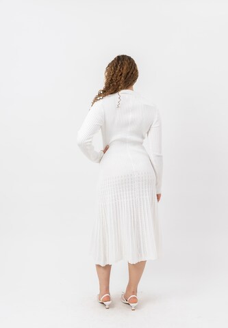 Elara Knit dress in White