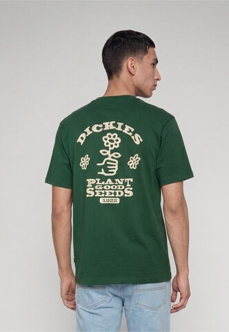 Maglietta 'Good Seeds' di DICKIES in verde: frontale
