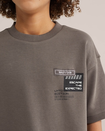 Maglietta 'Salty Dog' di WE Fashion in grigio