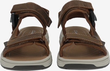 CLARKS Sandalen in Bruin