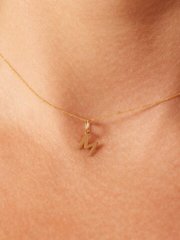 Lucardi Hangers 'Klassisch' in Goud: voorkant