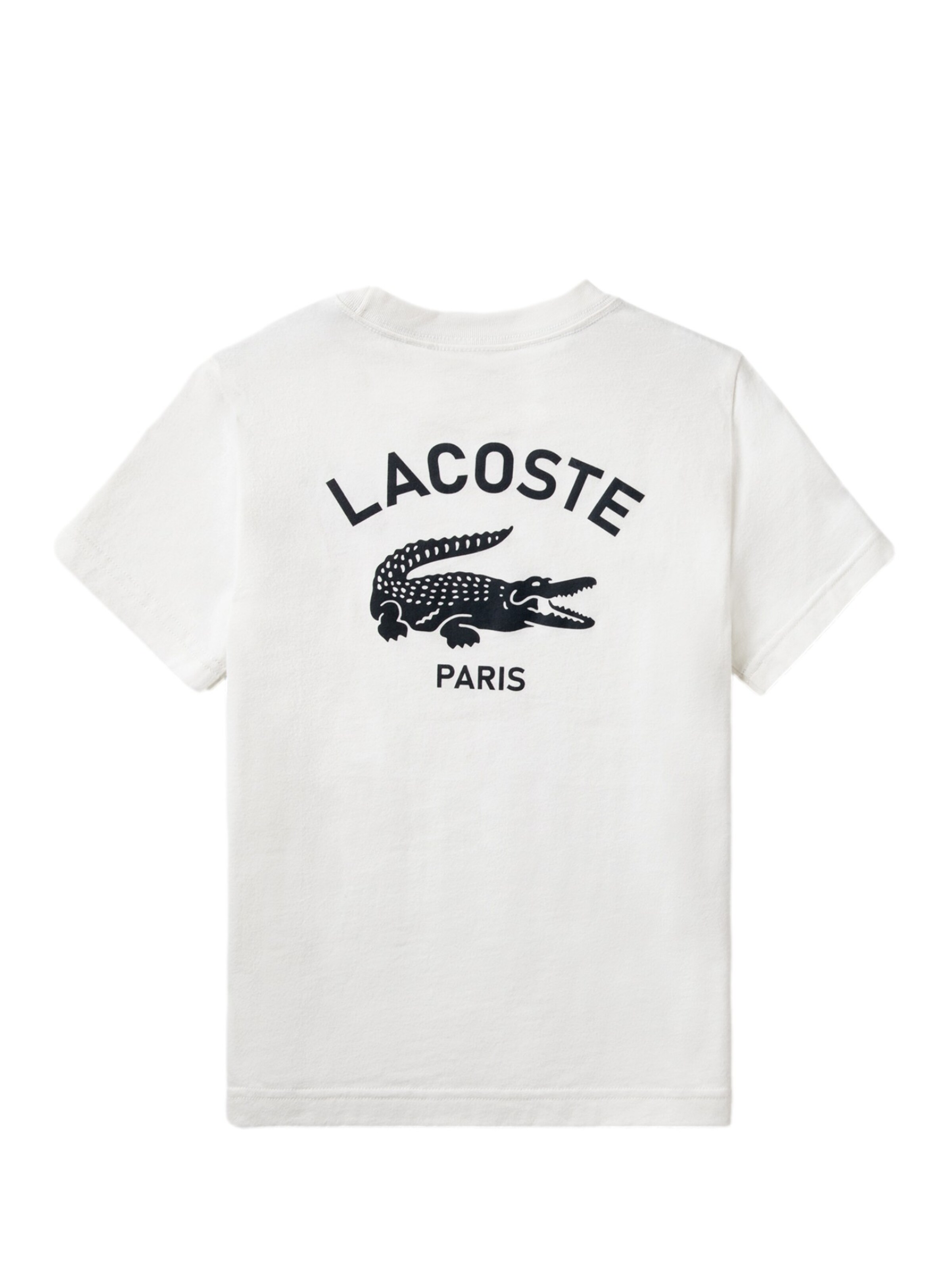 LACOSTE Shirt 'GRAPHIC CORE' in Beige