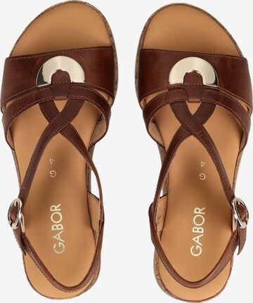 Semelles Amovibles Gabor Sandales Femme Gabor Sandales U00e0 Lanières Pour Femme, Poudre 62, 43 EU Sandale Gabor Femme Semelles Amovibles Gabor Sandales Femme Gabor Sandales U00e0 Lanières Pour Femme, Poudre 62, 43 EU Sandale Gabor Femme
