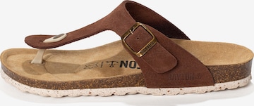 ruda Bayton Šlepetės per pirštą 'Mercure': priekis