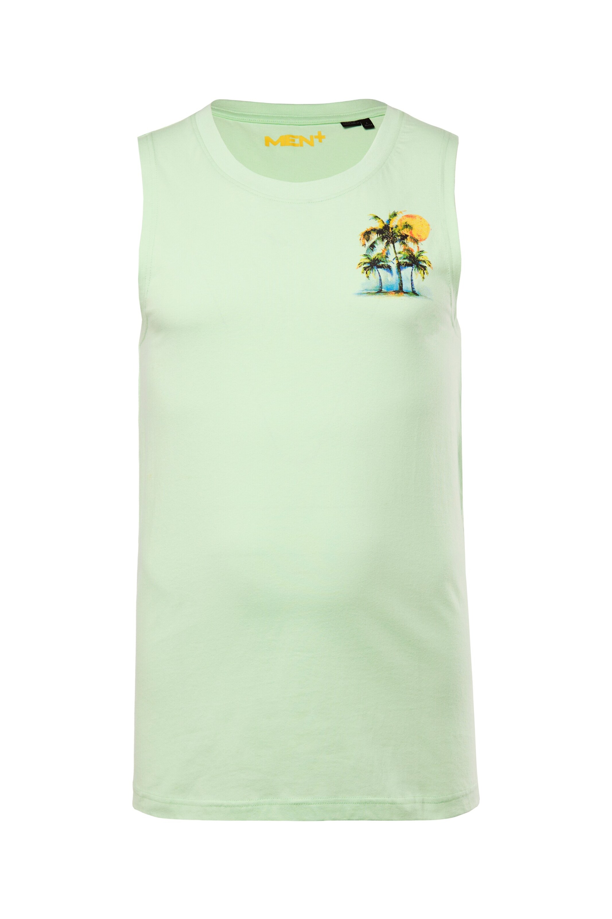 Men Plus Shirt in Green: front