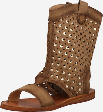 FELMINI Boots 'Carolina' in Brown: front