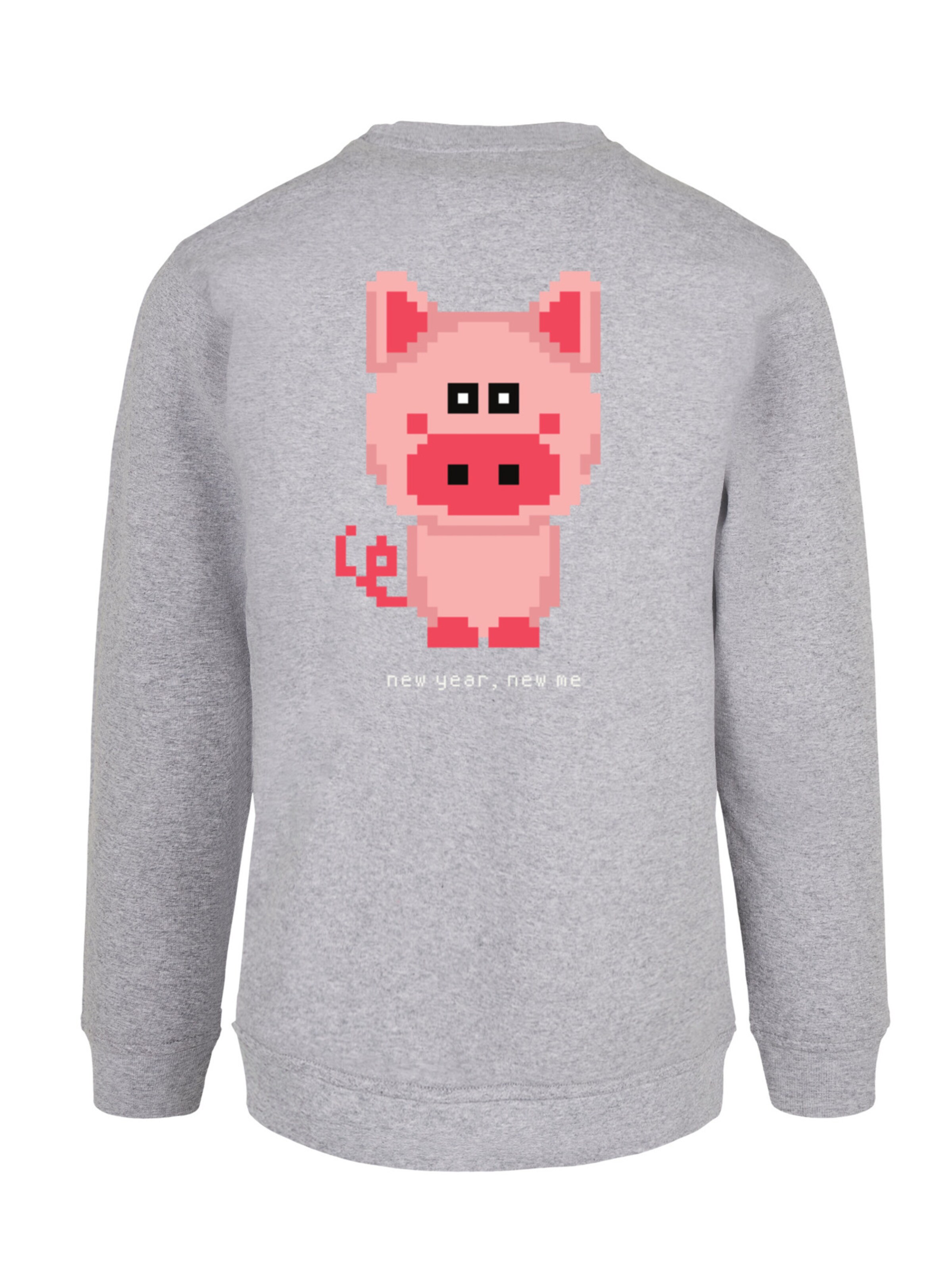 F4NT4STIC Sweatshirt in Grey