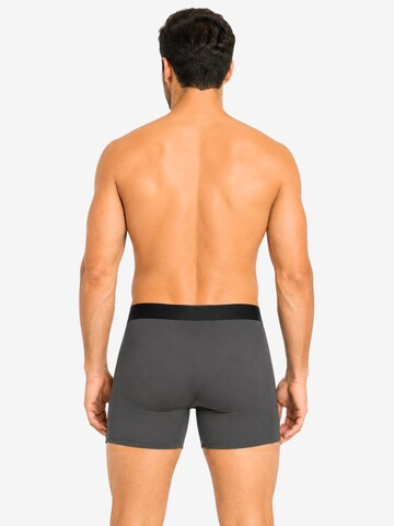 SITZTGUT Boxer shorts in Grey