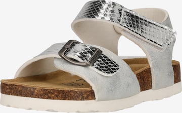 ZigZag Sandals 'Avila' in Silver: front