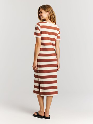 PROTEST Kleid 'PRTJuju'‌‌‌‌‌‌‌‌‌‌ in Braun