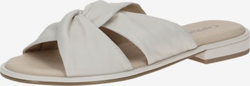 CAPRICE Mule in White: front