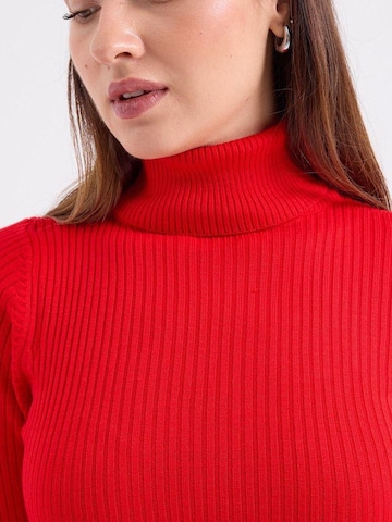 Bigdart Sweater in Red