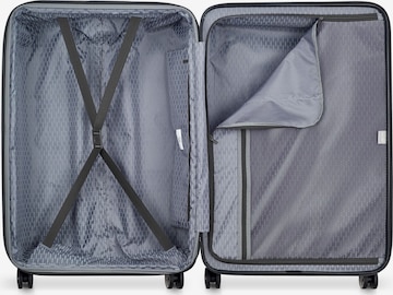 Delsey Paris Suitcase Set in Grey