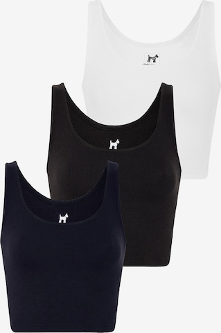 zils Williot Topiņš: no priekšpuses