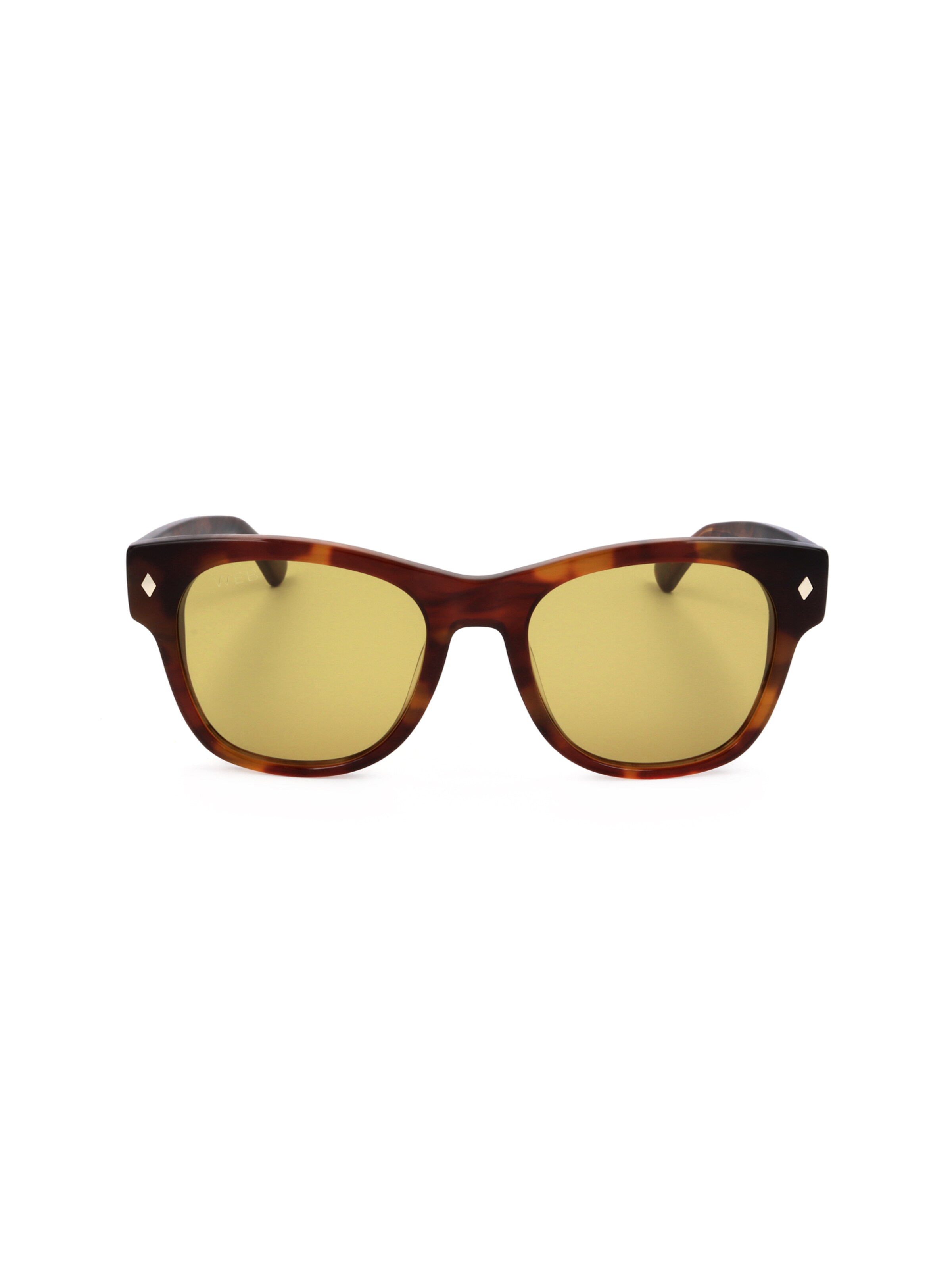 Occhiali da sole 'WE0353' di Web Eyewear in marrone