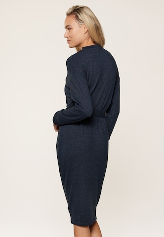 LingaDore Dress in Blue