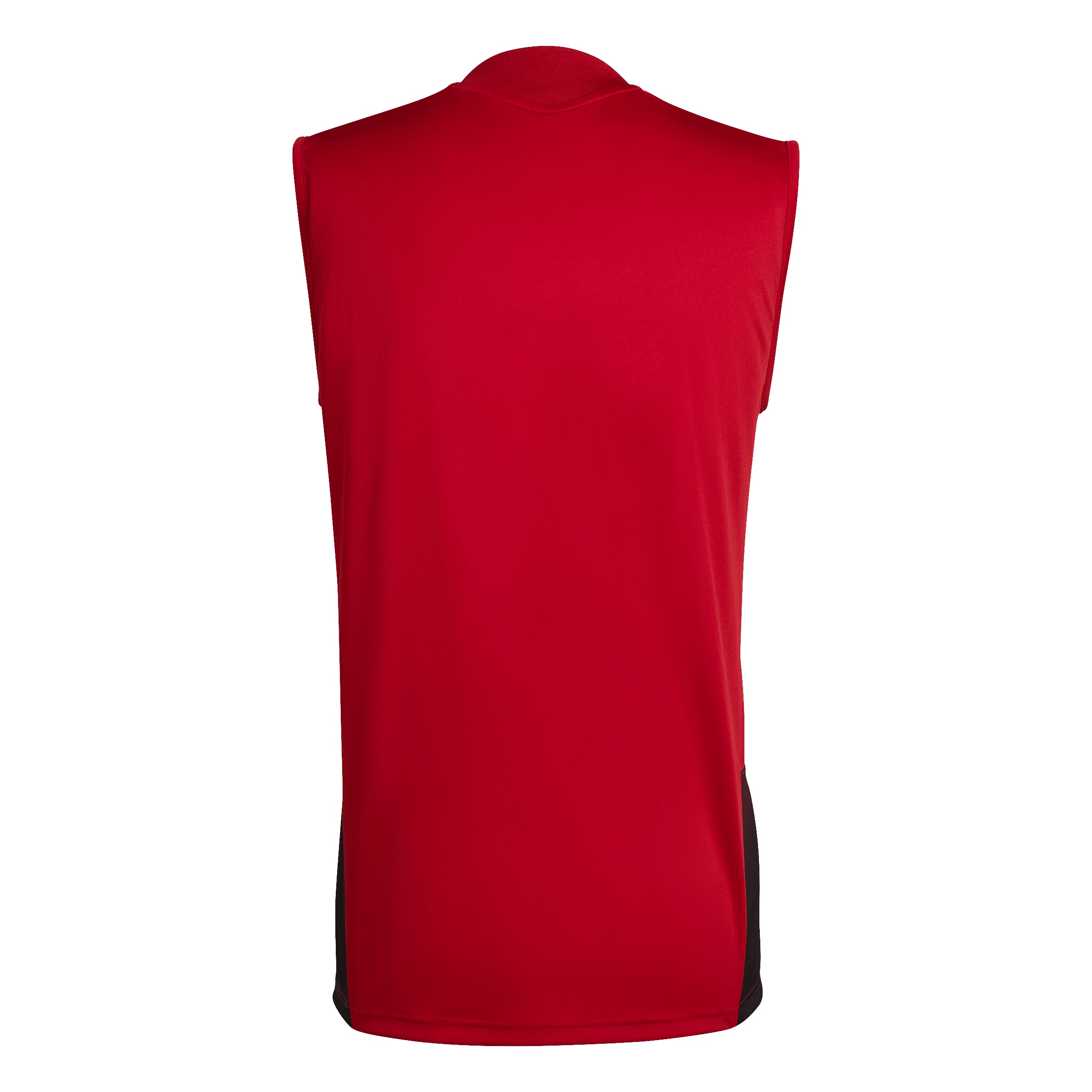 Maillot 'DFB TR SL JSY' ADIDAS PERFORMANCE en rouge