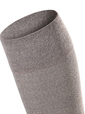 FALKE Over the Knee Socks 'Sensitive Berlin' in Grey