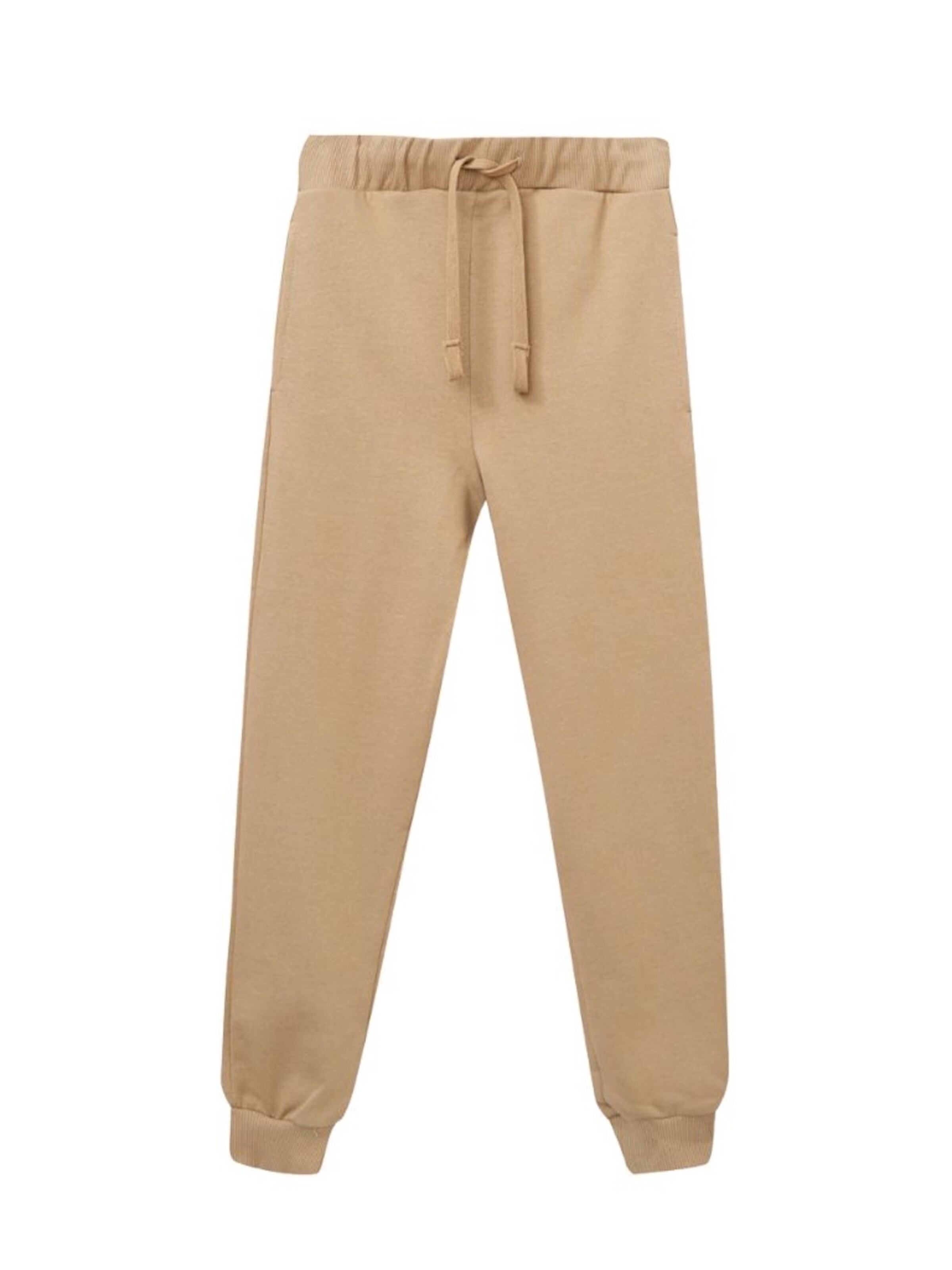 WINKIKI Regular Pants in Beige: front
