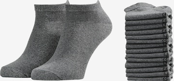 Albert Schäfer Socks in Grey