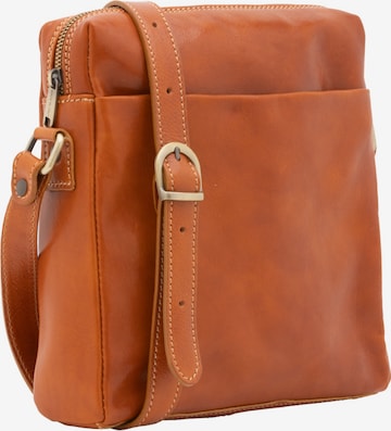 Viola Castellani Crossbody bag in Brown: front