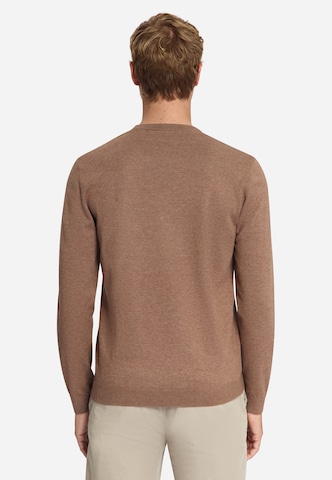 Pull-over No Excess en marron