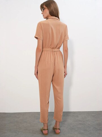 Bigdart Jumpsuit in Bruin