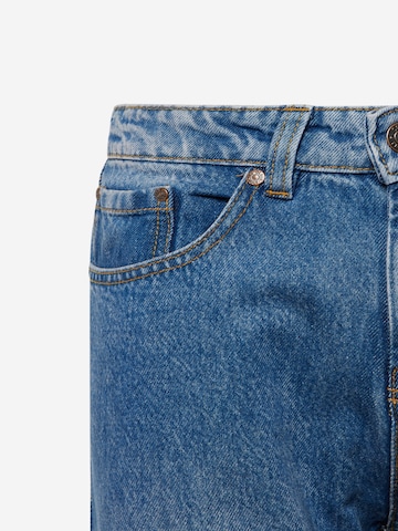 Denim Project Regular Jeans in Blauw