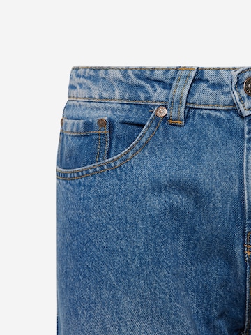 Denim Project Regular Jeans in Blau