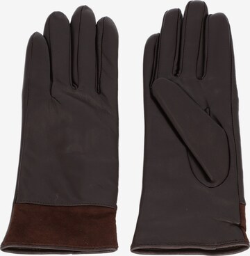 JOOP! Full Finger Gloves in Brown: front