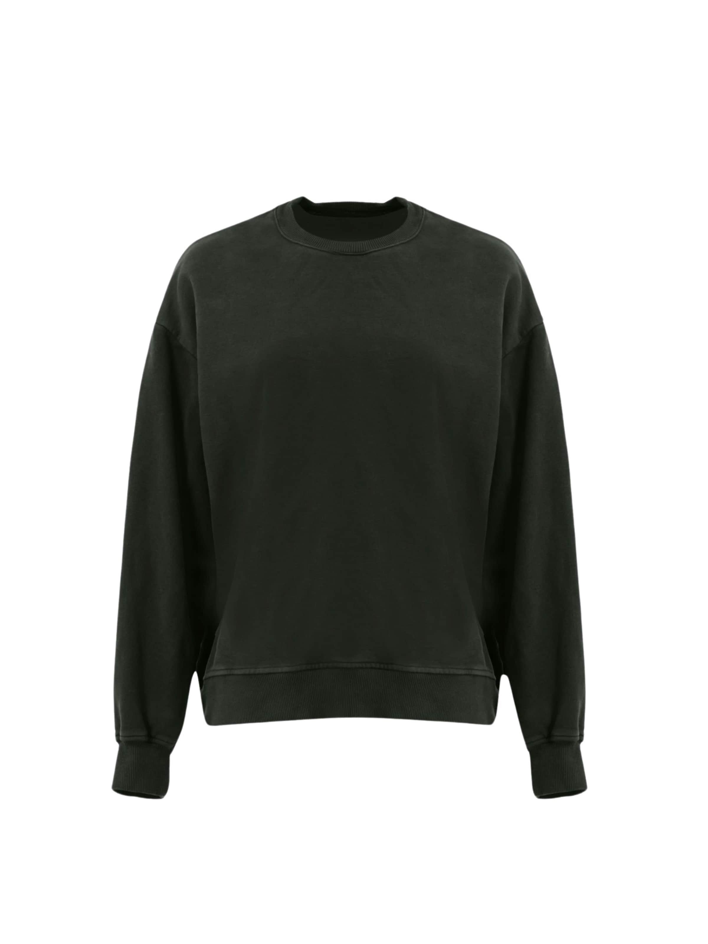 LTB Μπλούζα φούτερ 'Lesaya' σε πράσινο: μπροστά