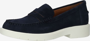 Chaussure basse GEOX en bleu : devant