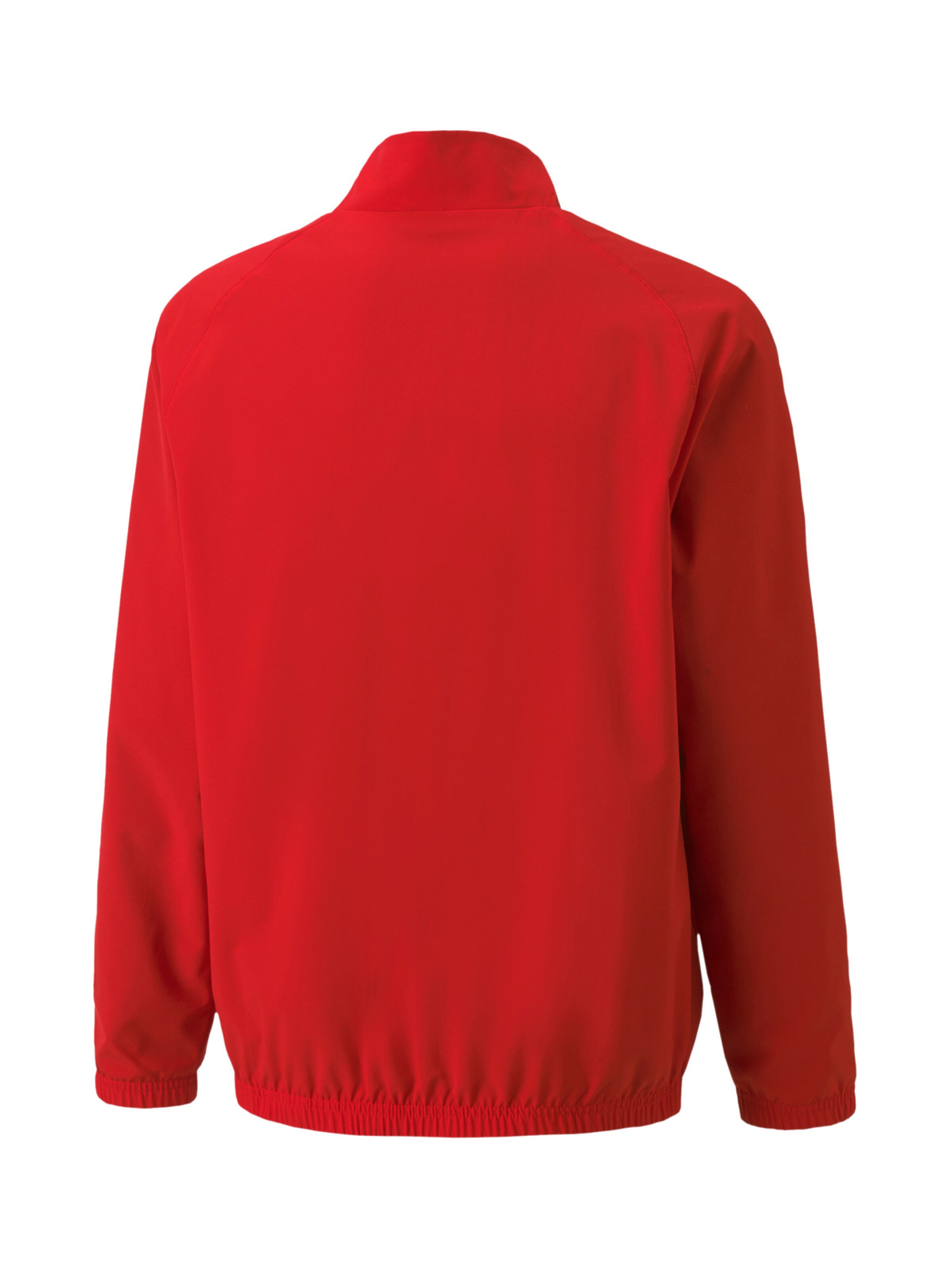 PUMA Sportjacke 'Team Liga' in Rot