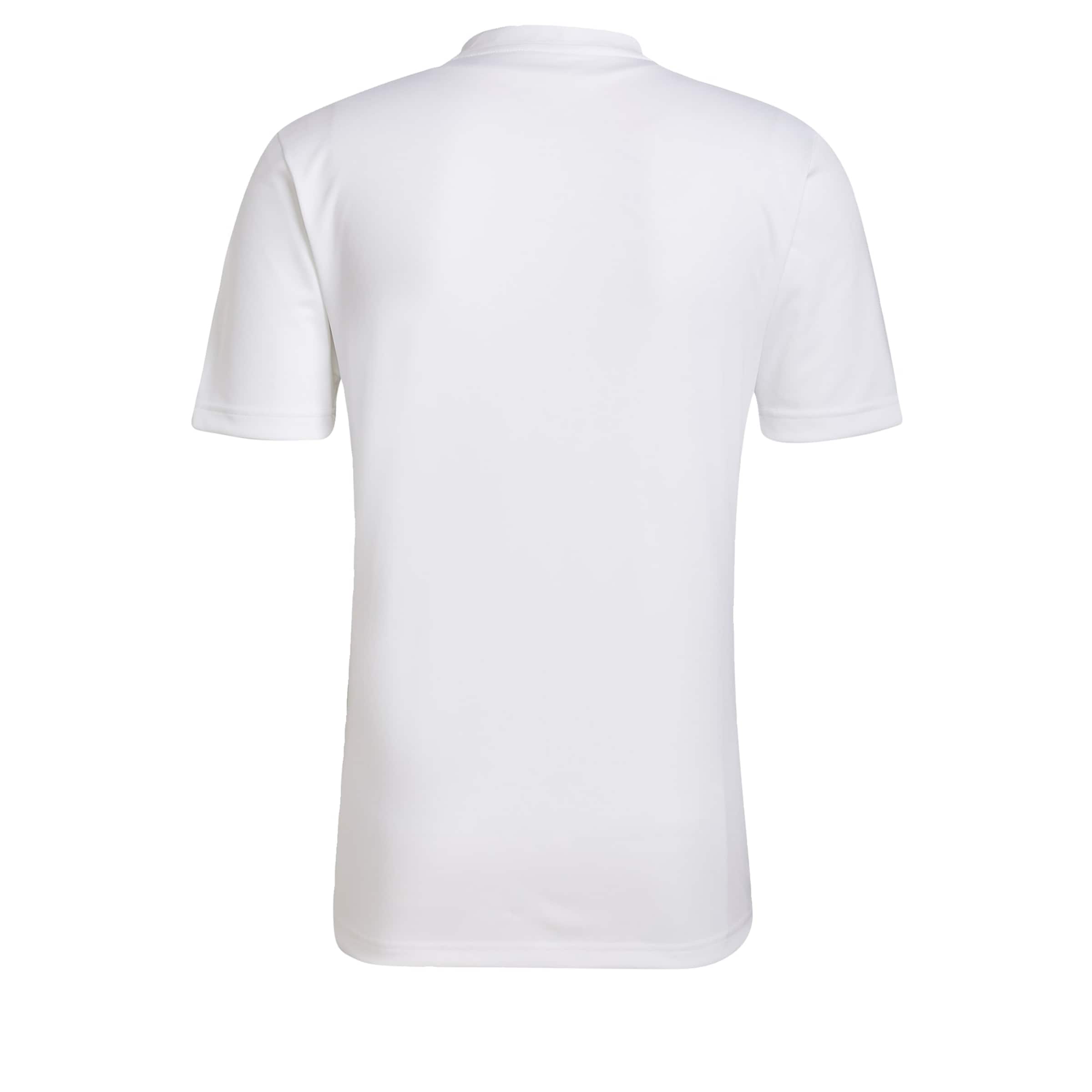 Homme T-Shirt fonctionnel Entrada ADIDAS PERFORMANCE en Blanc, Gris 