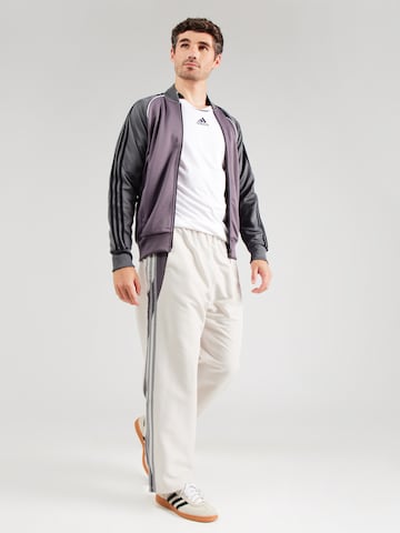 ADIDAS ORIGINALS Свободный крой Штаны 'CLIMA' в Белый