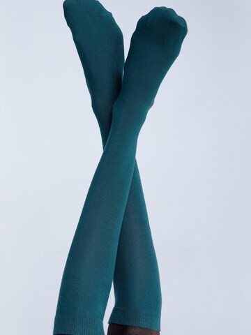 Albero Natur Knee High Socks in Green