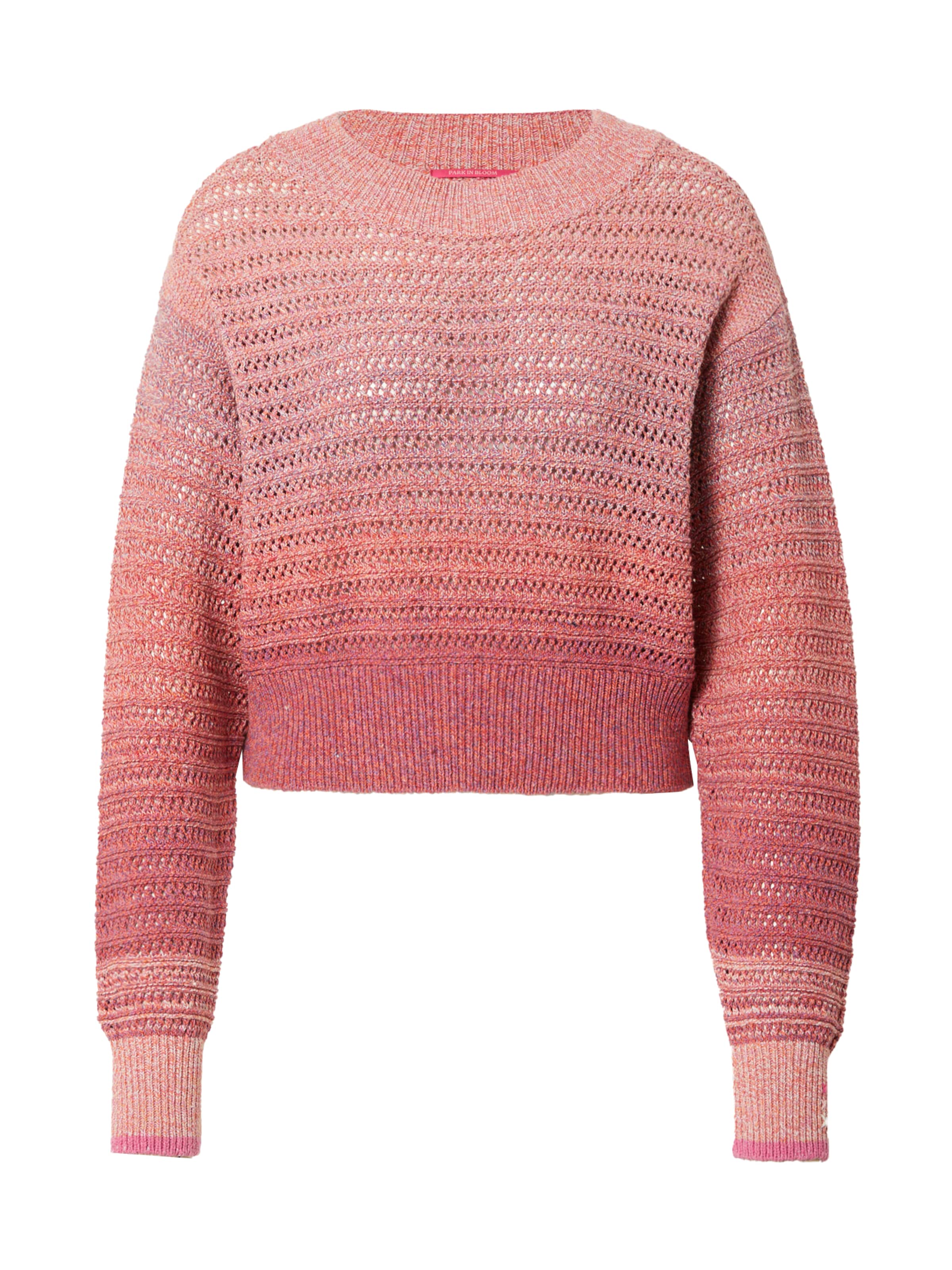 SCOTCH & SODA Pullover in Pink: Vorderseite