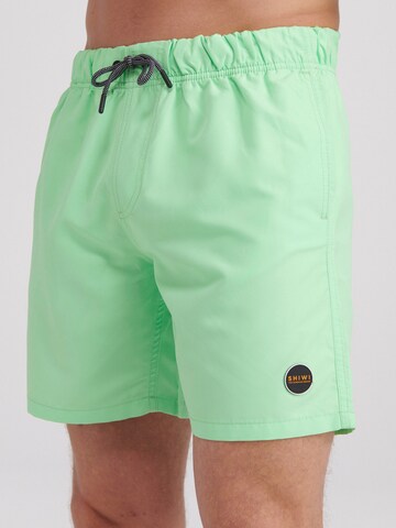 Shiwi Board Shorts in Green