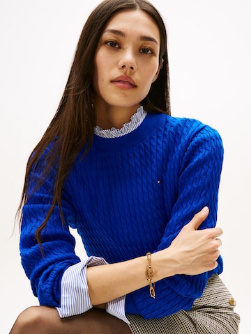 TOMMY HILFIGER Свитер в Синий