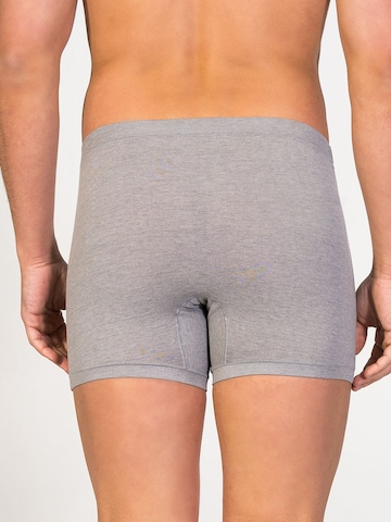 zd ZERO DEFECTS - Calzoncillo boxer 'Helios fly front boxer' en gris