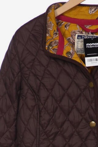 Joules Jacket & Coat in XXL in Brown