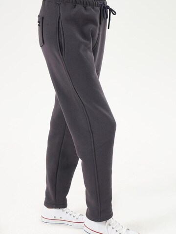 LOUIS LECLER Slimfit Broek 'Elise' in Grijs